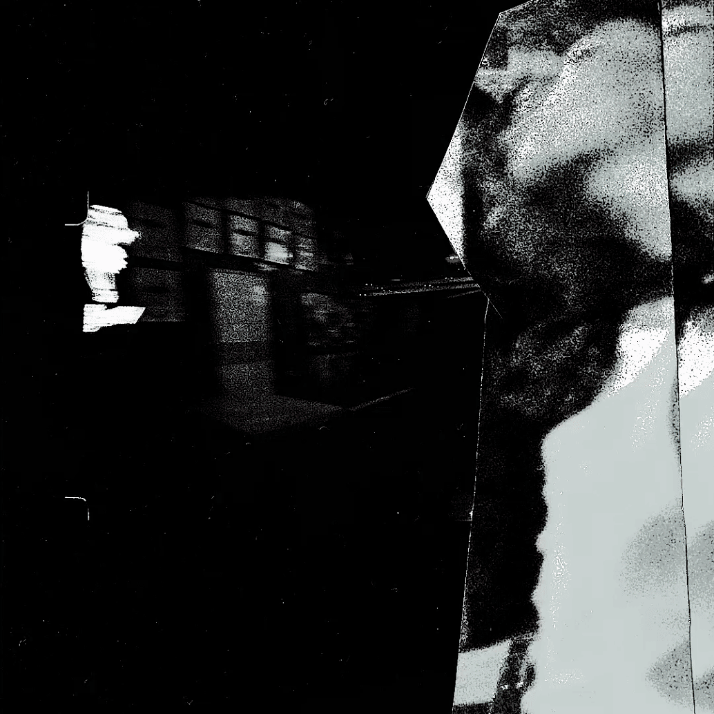 Platypus x ITNO Campaign